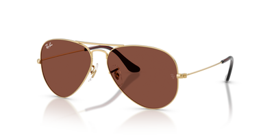 Ray-Ban AVIATOR LARGE METAL RB3025 001/C5 太阳镜