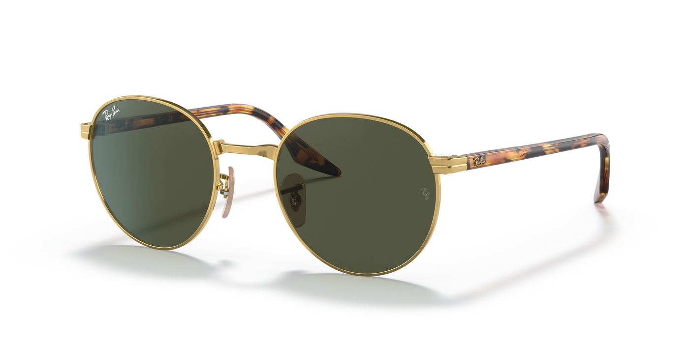 Sonnenbrille Ray-Ban RB3691 001/31 48 21
