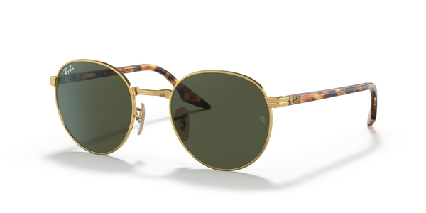 Gafas de Sol Ray-Ban RB3691 001/31 48 21
