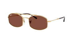 Lunettes de soleil Ray-Ban RB3719 001/C5 54 20