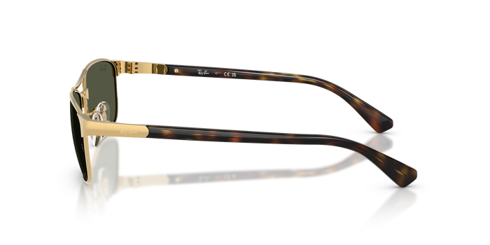 Gafas de Sol Ray-Ban RB3778 001/31 — Imagen 3