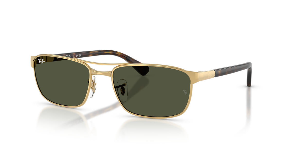 Gafas de Sol Ray-Ban RB3778 001/31