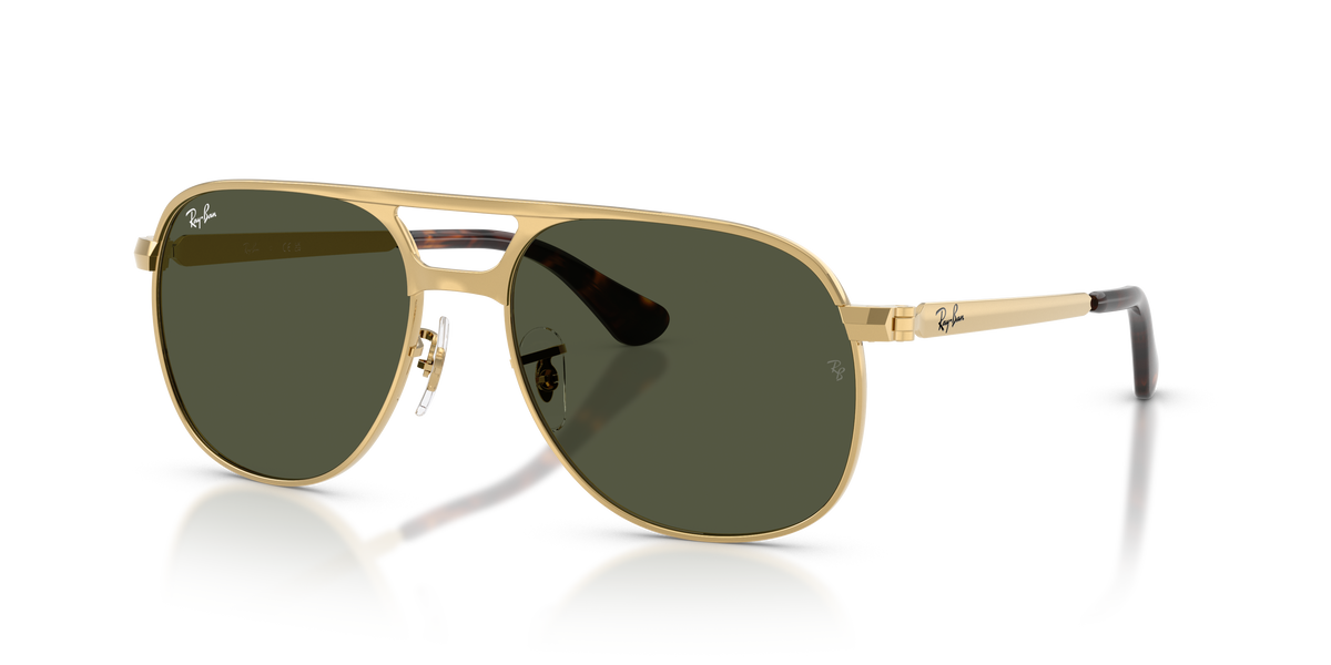 太阳镜 Ray-Ban Bill Max RB3793 001/31 56 / 59 17