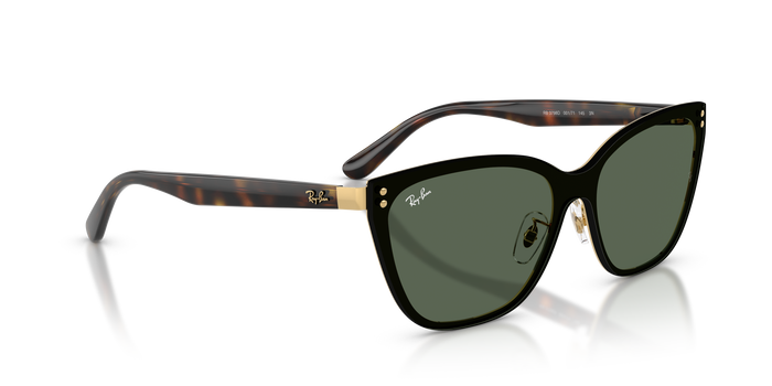 太阳镜 Ray-Ban RB3798D 001/71 45 145 — vista 4