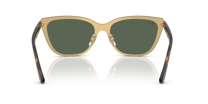 太阳镜 Ray-Ban RB3798D 001/71 45 145 — vista 3