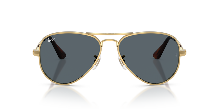 Ray-Ban AVIATOR MAX RB3925 001/R5 太阳镜 — 图片 2