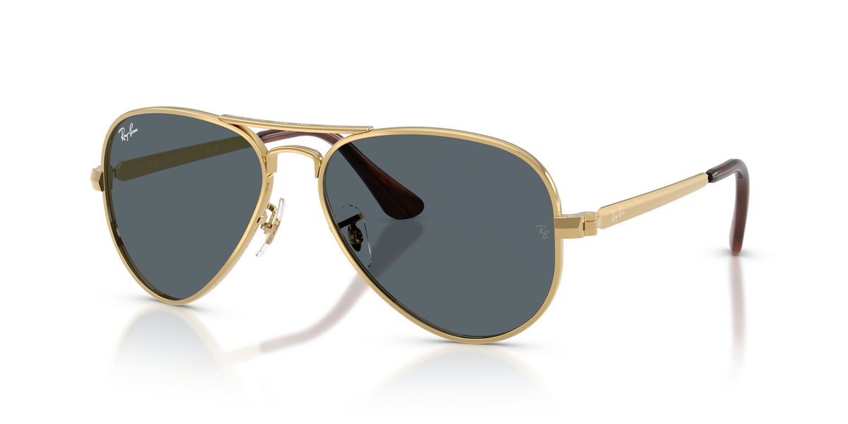 Ray-Ban AVIATOR MAX RB3925 001/R5 太阳镜