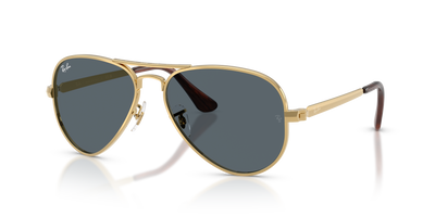 Ray-Ban AVIATOR MAX RB3925 001/R5 太阳镜