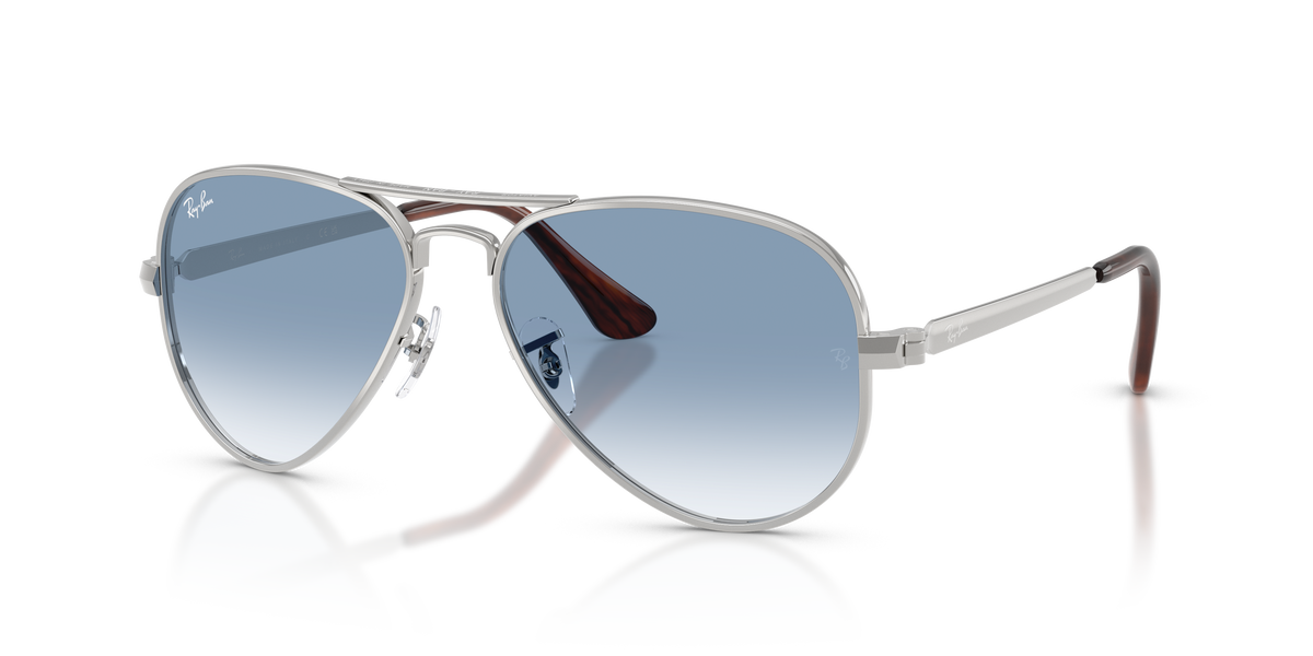 Ray-Ban AVIATOR MAX RB3925 003/3F 太阳镜