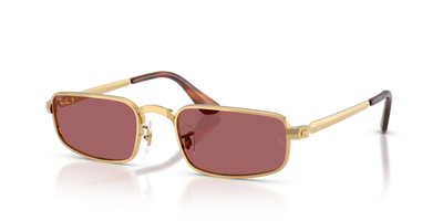 Ray-Ban RB3927 001/AF 54 21 太阳镜