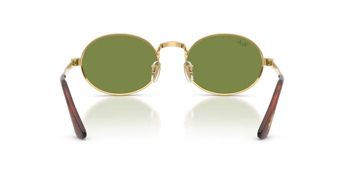 Ray-Ban RB3931 001/4E 54 21 太阳镜 — 图片 4