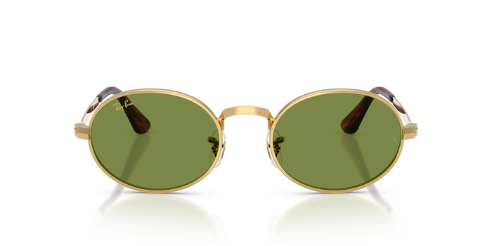Ray-Ban RB3931 001/4E 54 21 太阳镜 — 图片 2