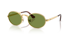 Ray-Ban RB3931 001/4E 54 21 太阳镜