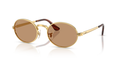 Ray-Ban RB3931 001/53 54 21 太阳镜