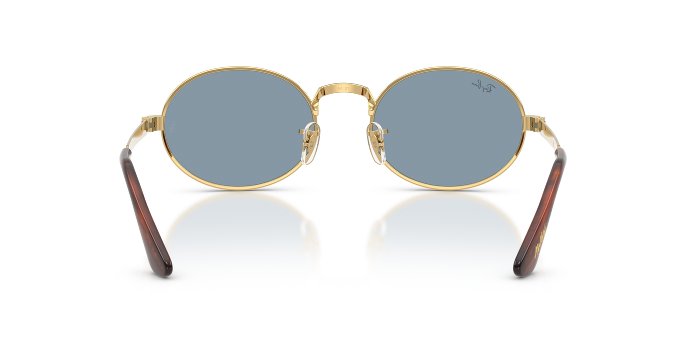 Gafas de Sol Ray-Ban RB3931 001/56 54 21