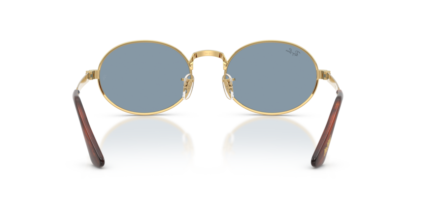 Gafas de Sol Ray-Ban RB3931 001/56 54 21