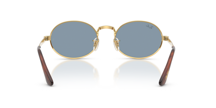 Sunglasses Ray-Ban RB3931 001/56 54 21 — vista 5
