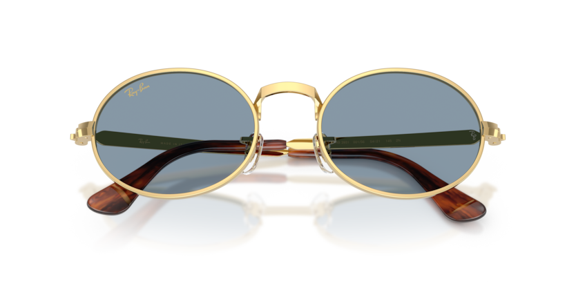 Gafas de Sol Ray-Ban RB3931 001/56 54 21