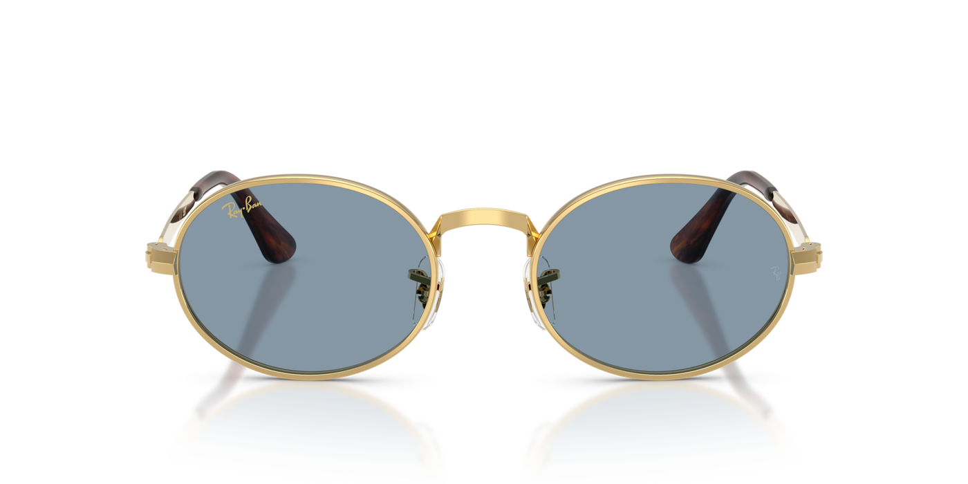 Gafas de Sol Ray-Ban RB3931 001/56 54 21