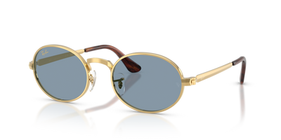Ray-Ban RB3931 001/56 54 21 太阳镜