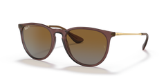 Sunglasses Ray-Ban ERIKA RB4171 6593T5 54 18