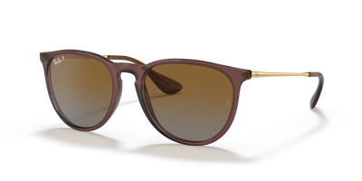 Sunglasses Ray-Ban ERIKA RB4171 6593T5 54 18