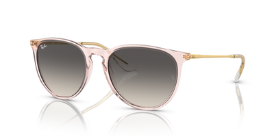 Sunglasses Ray-Ban ERIKA RB4171 674211 54 18