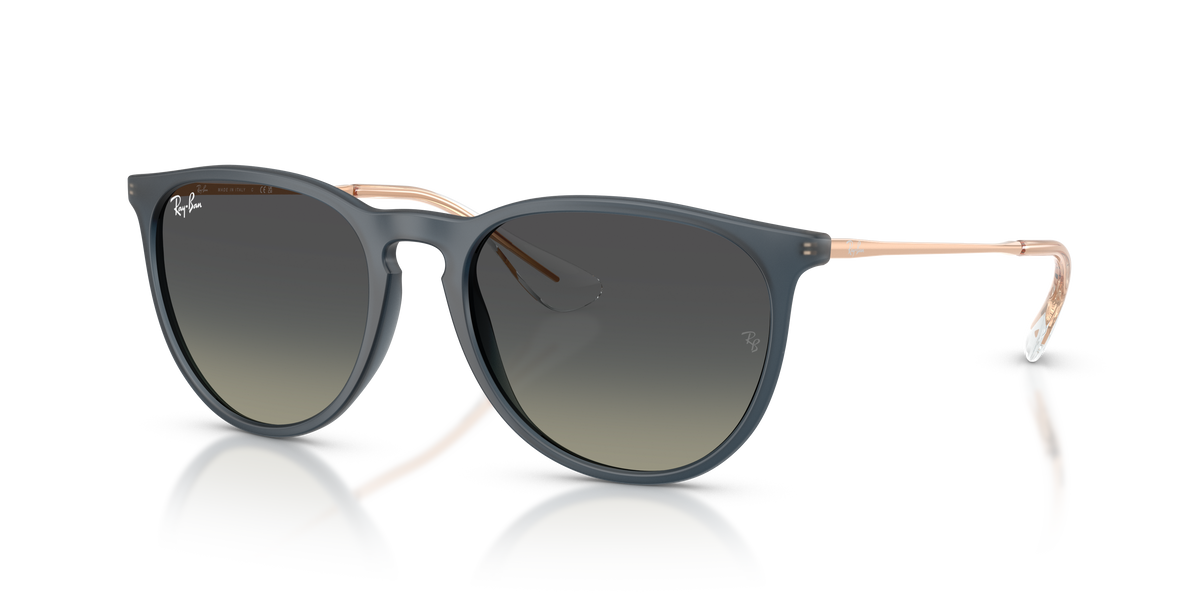 Ray-Ban ERIKA RB4171 681311 54 18 太阳镜