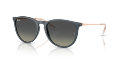 Ray-Ban ERIKA RB4171 681311 54 18 太阳镜