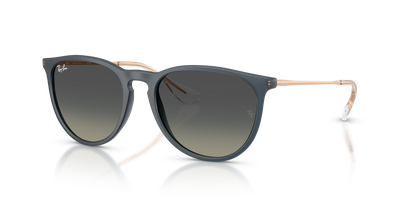 Sunglasses Ray-Ban ERIKA RB4171 681311 54 18