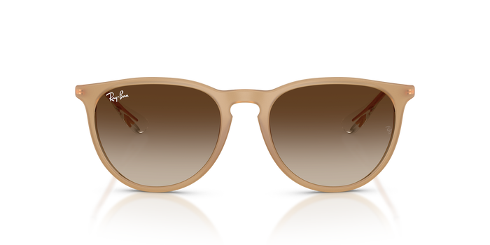 Sunglasses Ray-Ban ERIKA RB4171 681413 54 18 — Image 2