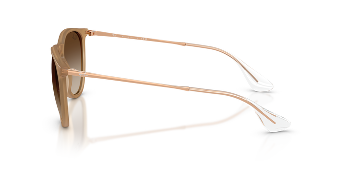Sunglasses Ray-Ban ERIKA RB4171 681413 54 18 — Image 3