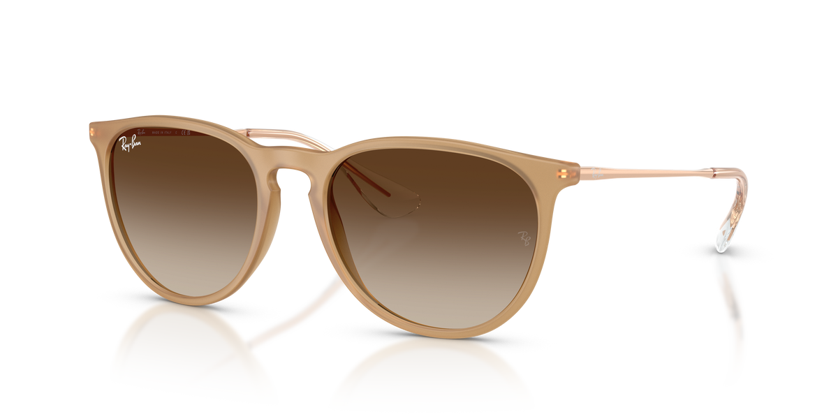 Sunglasses Ray-Ban ERIKA RB4171 681413 54 18