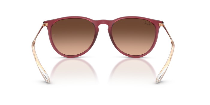 Ray-Ban ERIKA RB4171 6815A5 54 18 太阳镜 — 图片 4