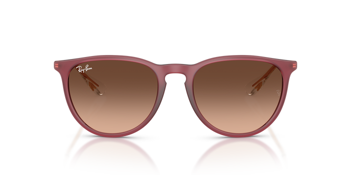 Ray-Ban ERIKA RB4171 6815A5 54 18 太阳镜 — 图片 2