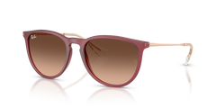 Ray-Ban ERIKA RB4171 6815A5 54 18 太阳镜