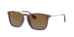 Sunglasses Ray-Ban CHRIS RB4187 6593T5 54 18