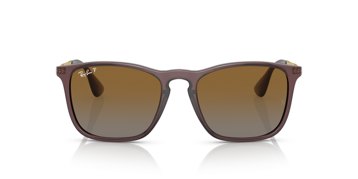 Ray-Ban RB4187 6593T5 太阳镜 54 18 — 图片 2