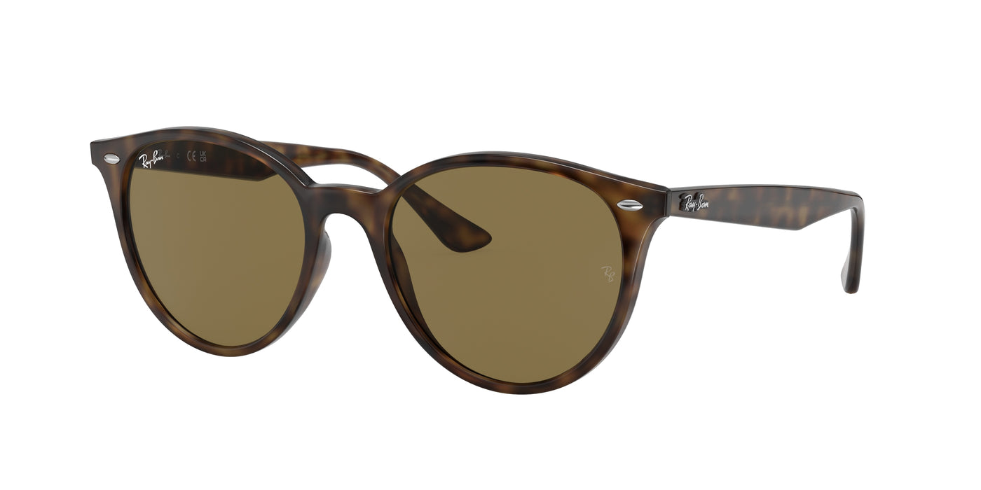 Gafas Graduadas Ray-Ban RB4305 710/73 53 19