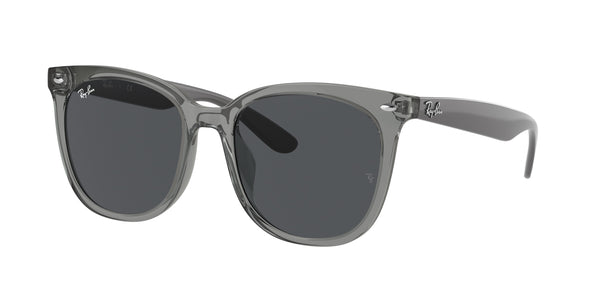 Gafas Graduadas Ray-Ban RB4379D 659987 55 19