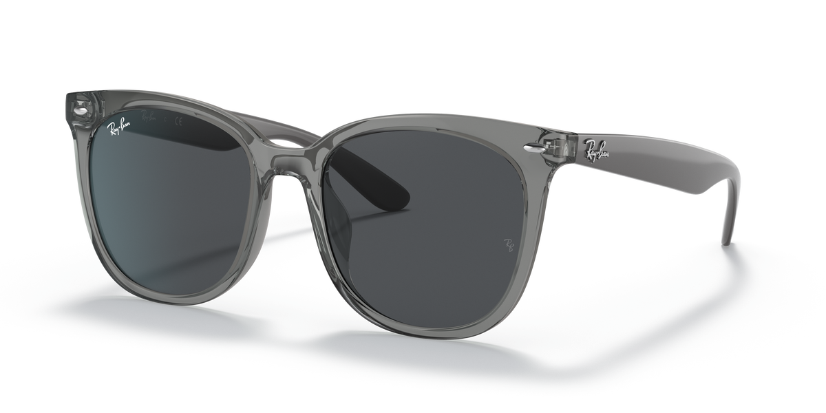Sunglasses Ray-Ban RB4379D 659987 55 19