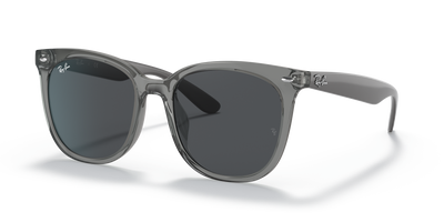 Sunglasses Ray-Ban RB4379D 659987 55 19