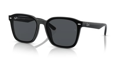 Ray-Ban RB4392D 601/87 66 17 太阳镜
