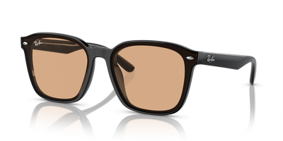 Ray-Ban RB4392D 601/93 66 17 太阳镜