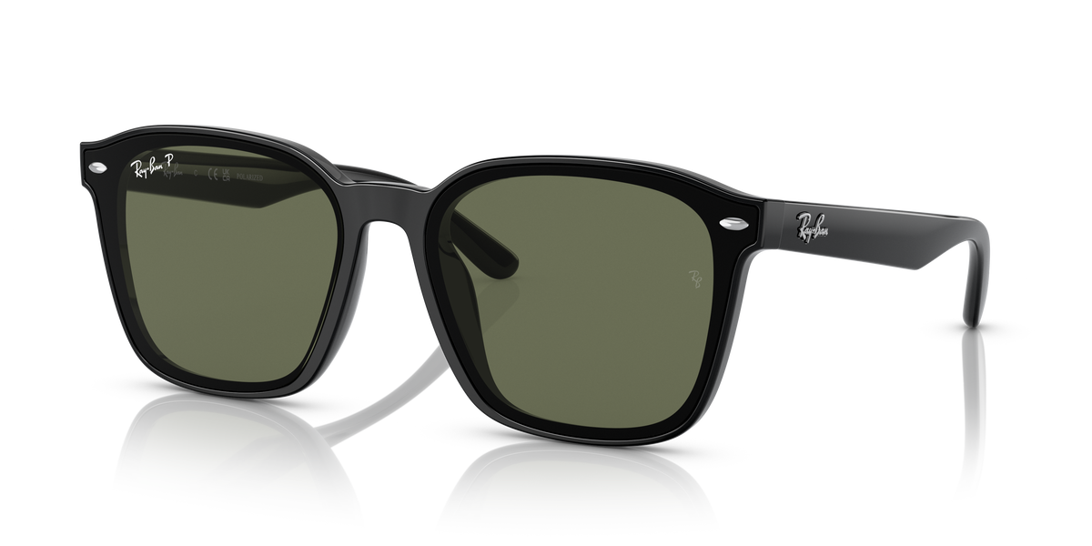 Ray-Ban RB4392D 601/9A 66 17 太阳镜