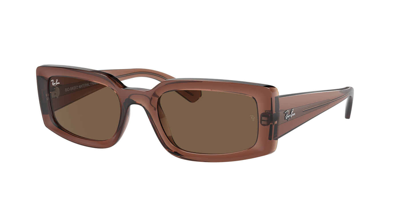 Sunglasses Ray-Ban KILIANE RB4395 667873 54 21