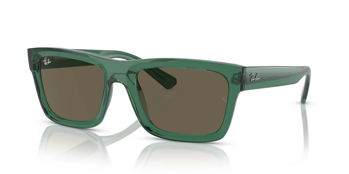 太阳镜 Ray-Ban WARREN RB4396 6681/3 54 20
