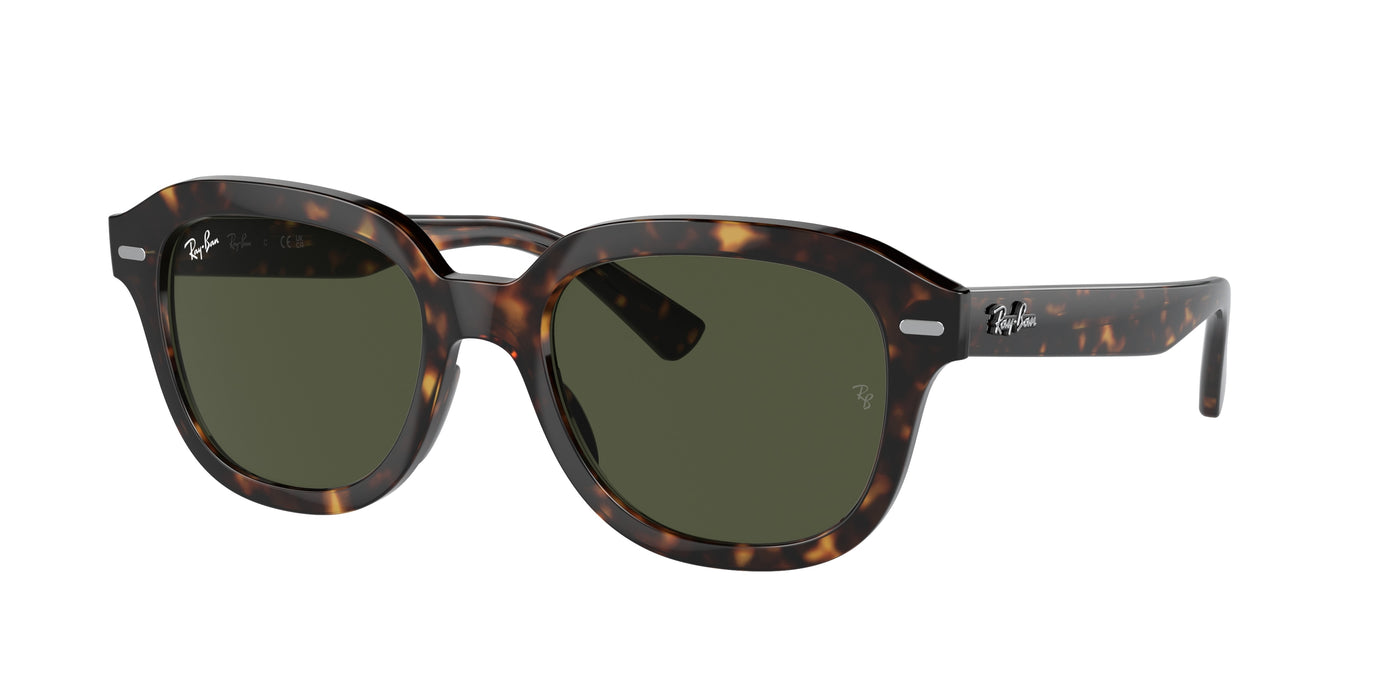 Gafas de Sol Ray-Ban ERIK RB4398 902/31