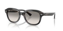 Солнцезащитные очки Ray-Ban Erik RB4398 140432 53 20