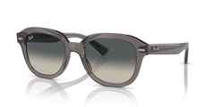 Sunglasses Ray-Ban Erik RB4398 667571 53 20